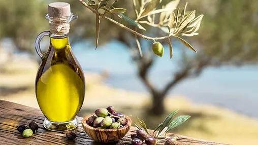 Olio Sassicaia from Tenuta San Guido — extra virgin olive oil at Il Matriciano Lisbon